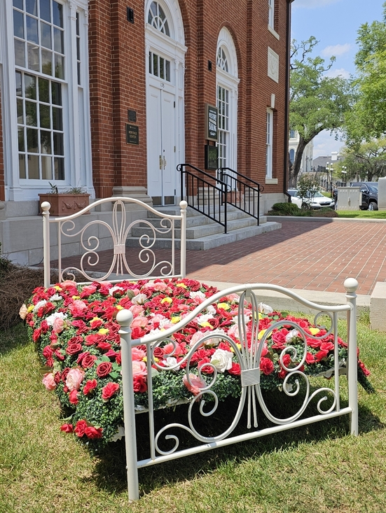 Meet the Posher Other - Rose Show & Festival, Thomasville Georgia